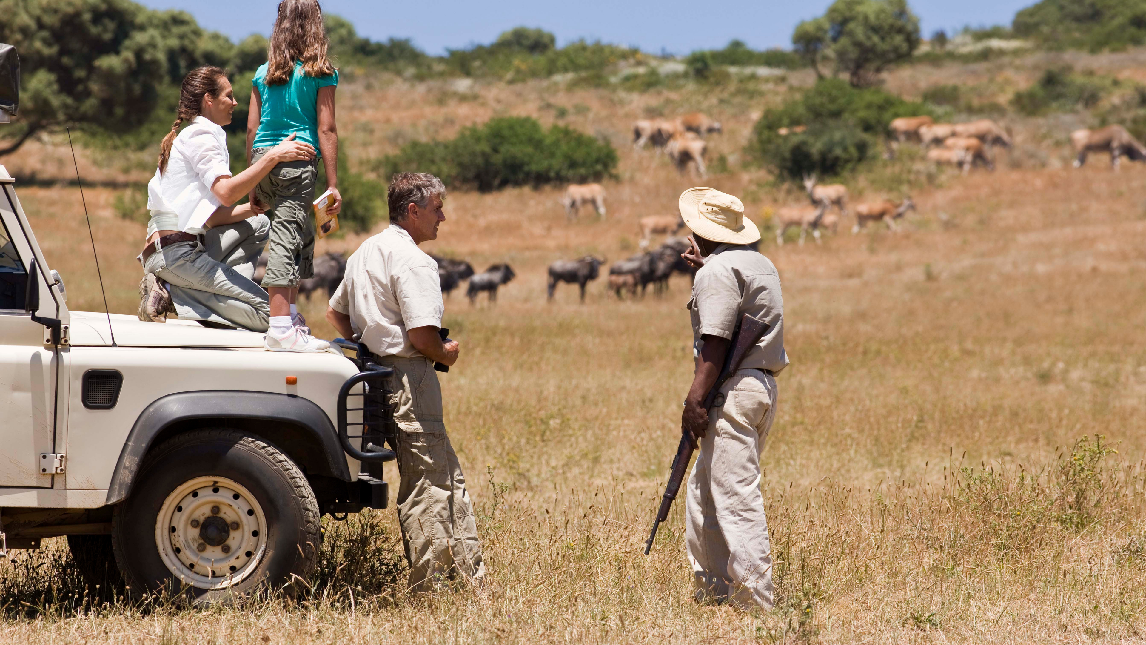 The Celebration Drive